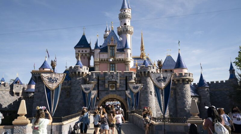 Etats-Unis : un père frappé à Disneyland Park pour sa place dans la file