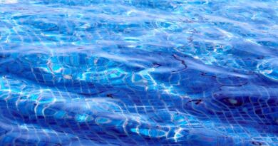 États-Unis : Une conductrice perd le contrôle et finit dans une piscine