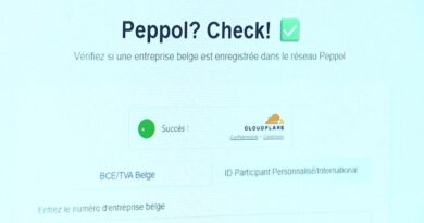 Facturation électronique via Peppol : experts-comptables réclament un report des déclarations TVA.