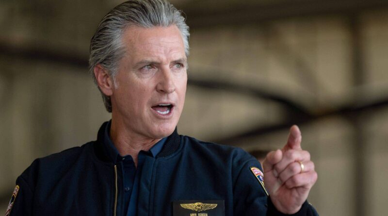 Gavin Newsom exhorte l'UE à « frapper Trump à la figure » sur le Groenland.