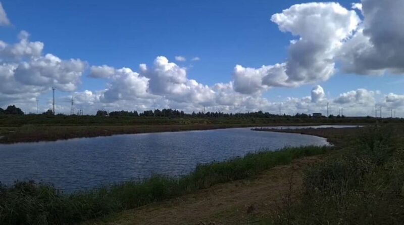 Graves pollutions en Campine anversoise, selon des analyses de sol.