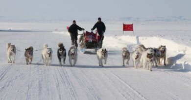 Groenland : Le Danemark a-t-il « ajouté un attelage de chiens de traîneau » pour sécuriser l'île, selon Trump ?