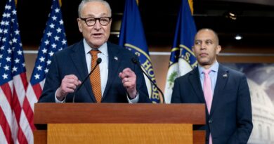 Groenland : les démocrates ne soutiennent pas les droits de douane de Trump