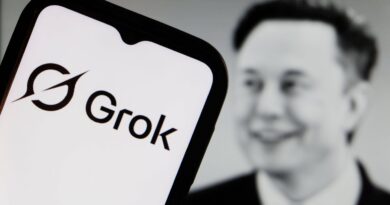 Grok : L’IA d’Elon Musk ne doit pas être utilisée pour dénuder des femmes pendant les fêtes