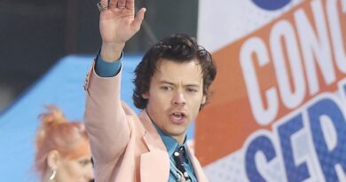 Harry Styles dévoile le dress code de sa tournée « Together, Together »