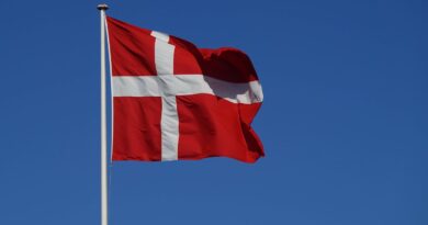 Immigration : Le Danemark expulse les étrangers ayant un an de prison