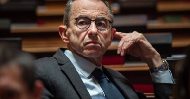 Immigration : Le RN critique Retailleau sur l'augmentation des titres de séjour