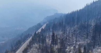 Incendie incontrôlé en Patagonie argentine, 15 000 hectares détruits