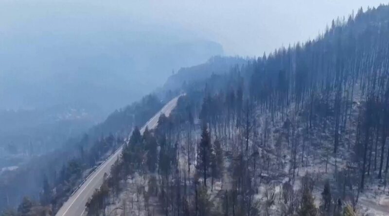 Incendie incontrôlé en Patagonie argentine, 15 000 hectares détruits