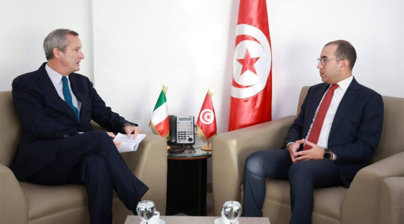 Interconnexion électrique : l'Italie confirme son soutien à la transition énergétique tunisienne