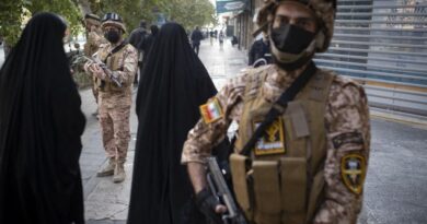 Iran : « Les Gardiens de la révolution ne dominent pas l'économie comme une mafia »