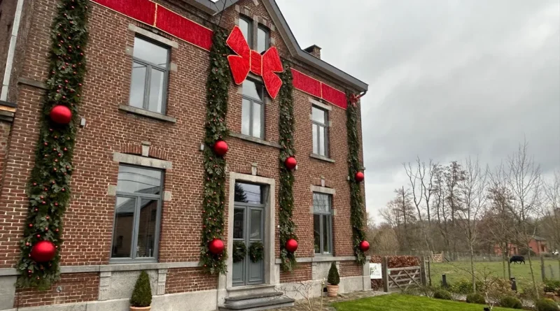 Jamioulx : le 1er janvier, pas de grasse matinée à l'élevage d'alpagas