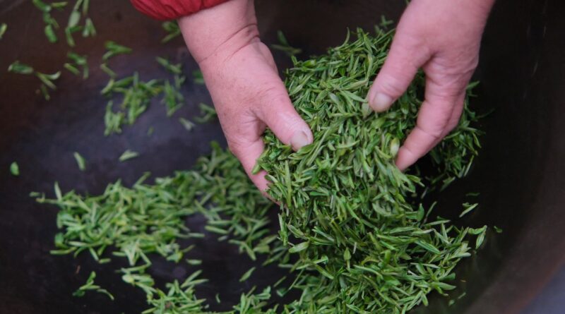 Japon : Un camion de thé provoque un accident mortel