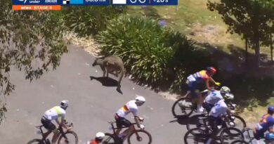Jay Vine se casse le poignet après avoir percuté un kangourou.
