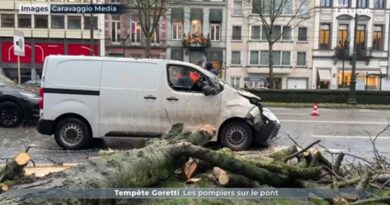 La tempête Goretti : chaos et harmonie coexistent