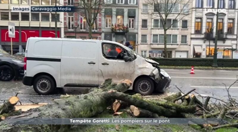 La tempête Goretti : chaos et harmonie coexistent