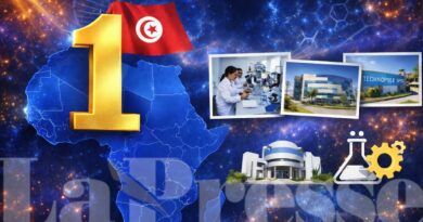La Tunisie, leader en Afrique pour chercheurs et publications par million d'habitants.