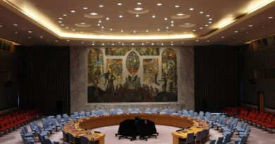 Le Conseil de sécurité de l'ONU fête ses 80 ans : action remise en question ?