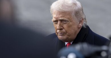 Le gouvernement français prévient : Donald Trump a « beaucoup à y perdre aussi » avec ses taxes douanières.