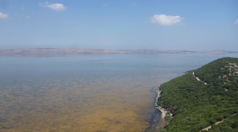 Le lac Ichkeul renaît après 12 ans grâce aux pluies.