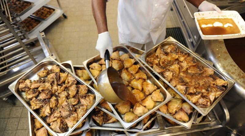 Le poulet des cantines scolaires vient-il vraiment à 100 % d'Ukraine ?