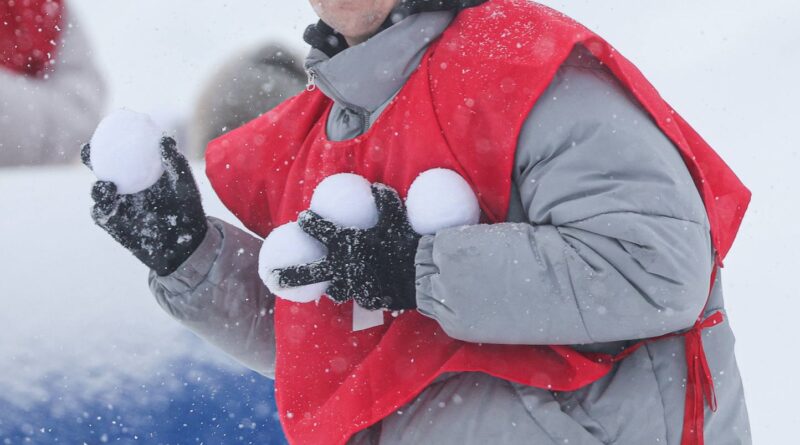 « Légitime défense » : la police ne peut-elle pas utiliser des boules de neige ?
