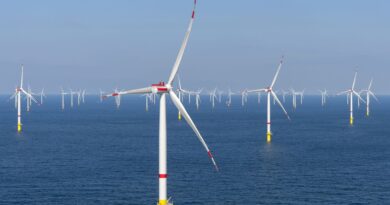 L'éolien offshore ne représente que 8,2% de l'électricité belge.