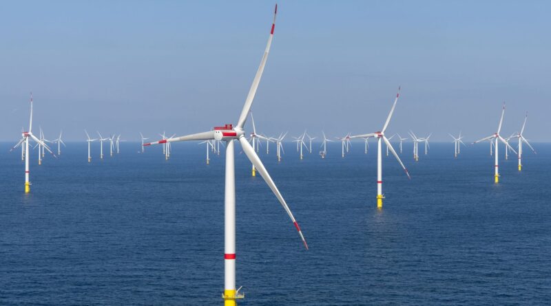 L'éolien offshore ne représente que 8,2% de l'électricité belge.