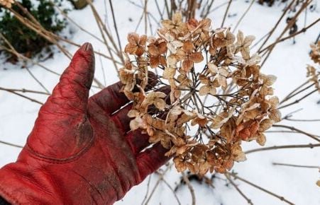 Les 15 moments marquants du Parc OL pour ses 10 ans
