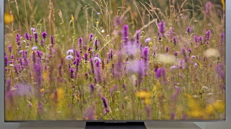 Les 3 meilleurs TV de 2025 à découvrir sur Frandroid.