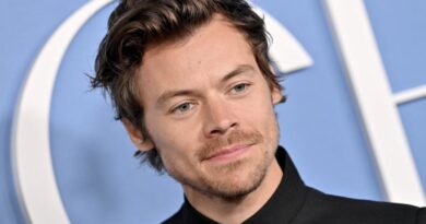 Les fans d'Harry Styles ne reçoivent pas une note vocale inédite.