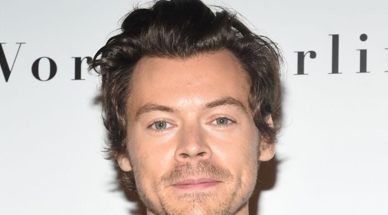 Les fans d'Harry Styles ne s'attendent pas à des prix de concert si élevés.