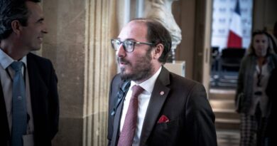 « Les jeux vidéo rendent violents » : Denis Masséglia prend position