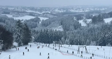 Les paysages et jardins sublimés : la neige inspire vos photos.