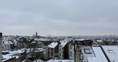 Les paysages et jardins sublimés par la neige : inspiration (photos)