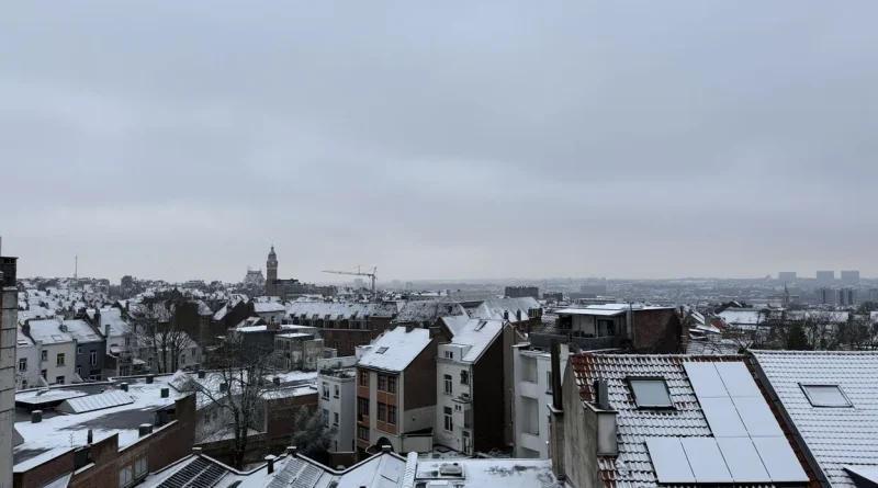 Les paysages et jardins sublimés par la neige : inspiration (photos)