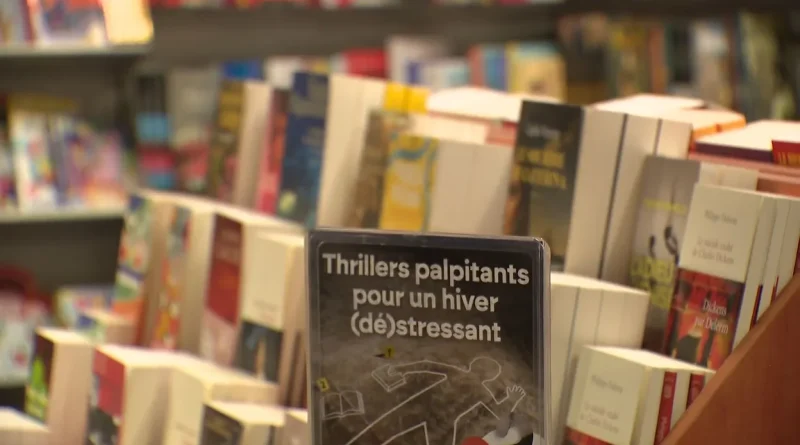 Les petits formats : les blockbusters cachés des librairies.