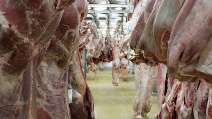 Les prix mondiaux des produits alimentaires ne cessent de reculer en décembre 2025.