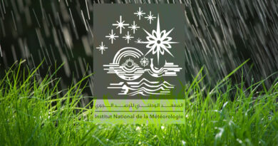 L’INM avertit : orages et vents violents à venir.