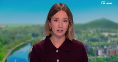 Mer Baltique : un navire saisi après des dégâts à un câble sous-marin