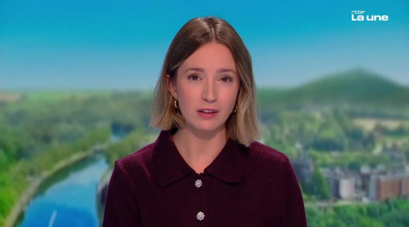 Mer Baltique : un navire saisi après des dégâts à un câble sous-marin