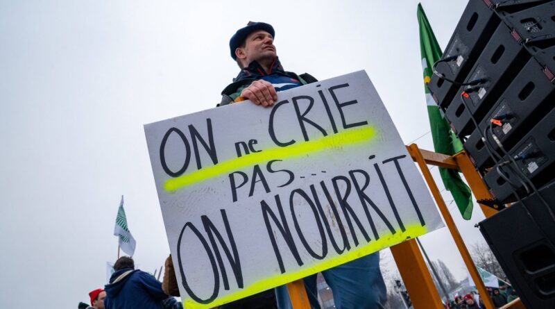 Mercosur : Députés européens contestent l'accord, agriculteurs ne se réjouissent pas.