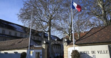 Mercosur : Des mairies françaises soutiennent les agriculteurs avec le drapeau européen