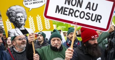 Mercosur : L'UE ne veut pas tarder à signer le traité commercial