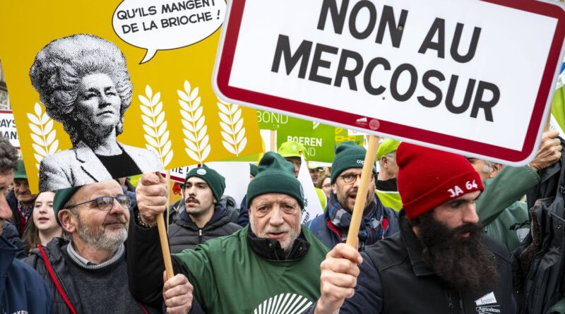 Mercosur : L'UE ne veut pas tarder à signer le traité commercial