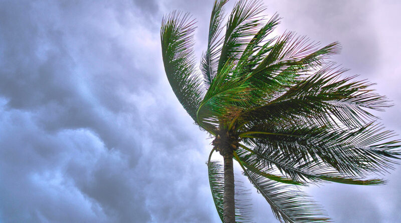Météo : ciel nuageux et rafales atteignant plus de 100 km/h au nord