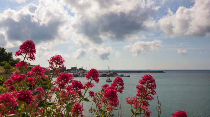 Météo : Ciel voilé le matin, pluie et orages le soir