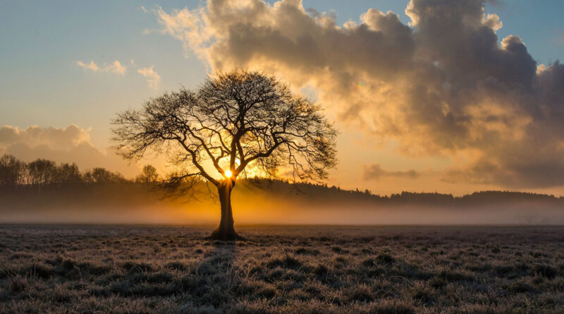 Météo : Températures nocturnes de 3 à 10 degrés cette semaine