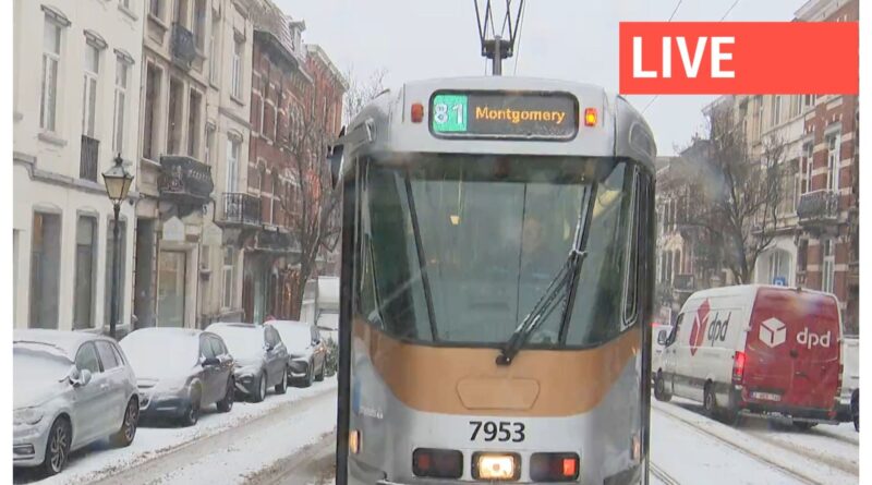 Neige en Belgique : transports en commun reprennent, 43 vols annulés.