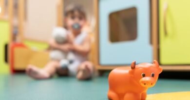 Nord : Un baby-sitter pédocriminel condamné en 2020 à Nice, nouvelles victimes.